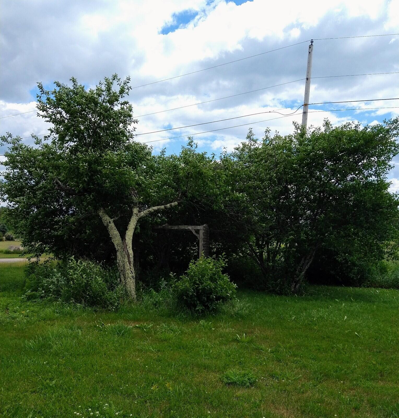 395 Moosehead Trail, A/B