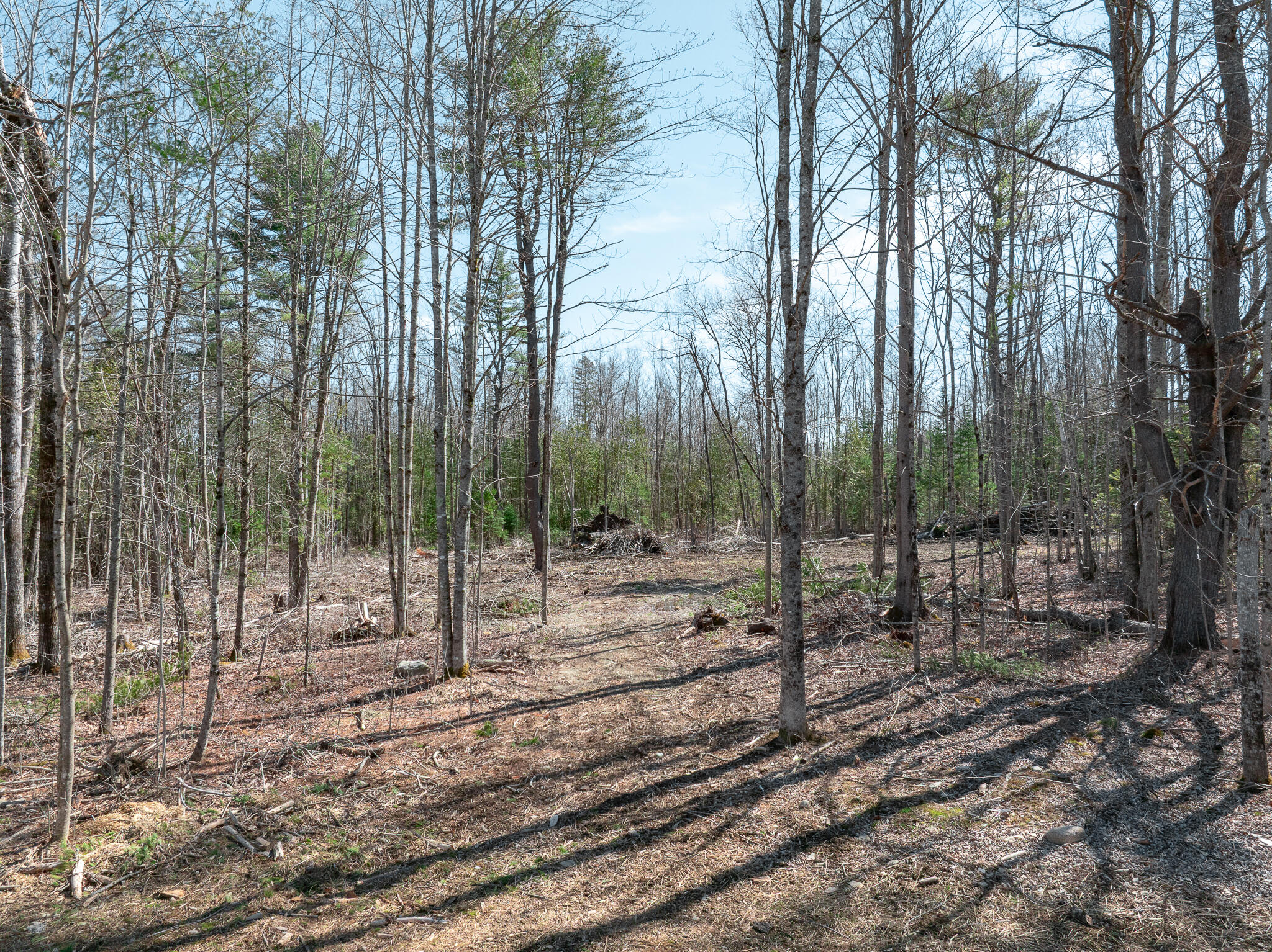 318 Townhouse Road