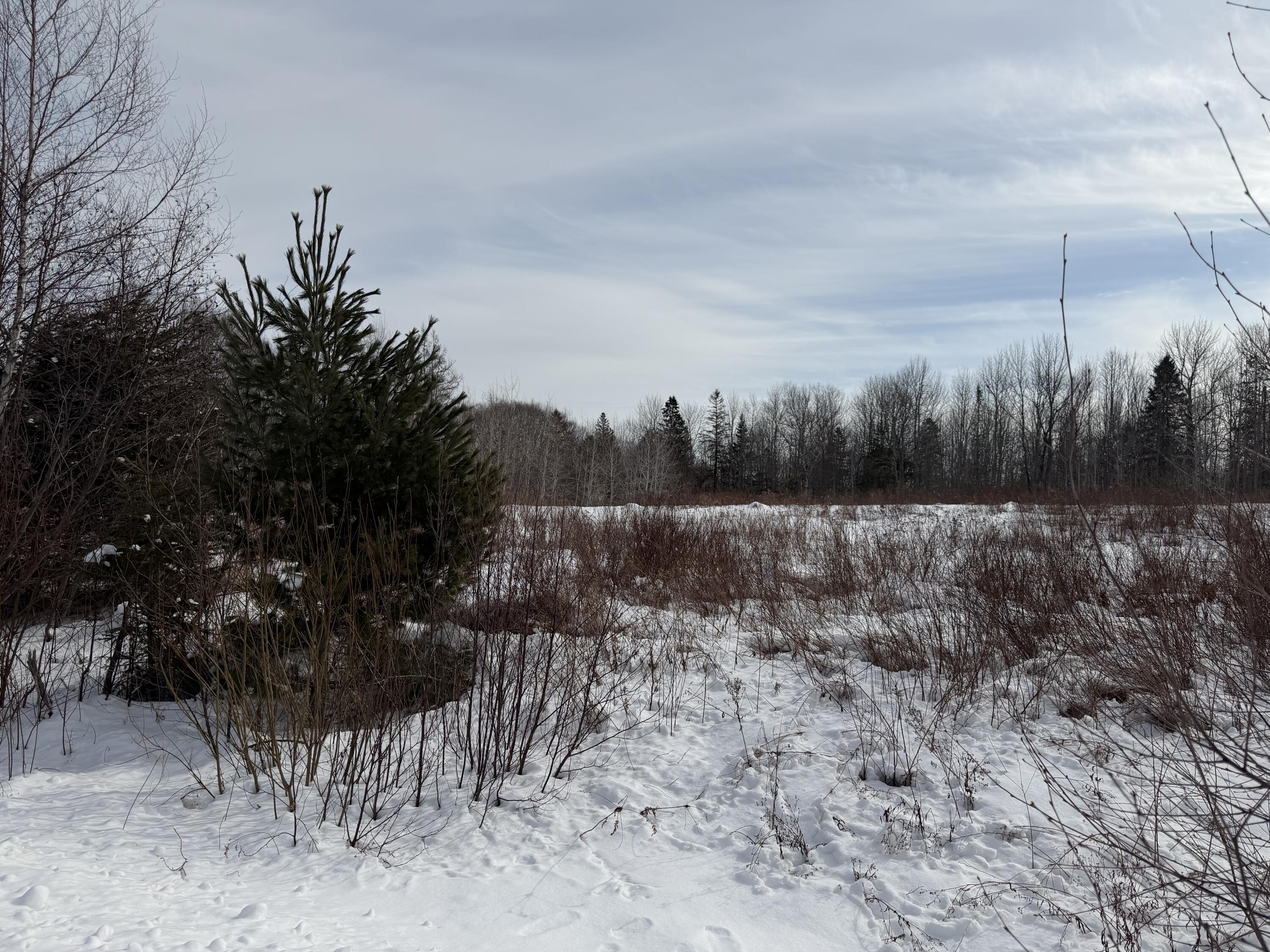 M6 L60-65 Gravel Road