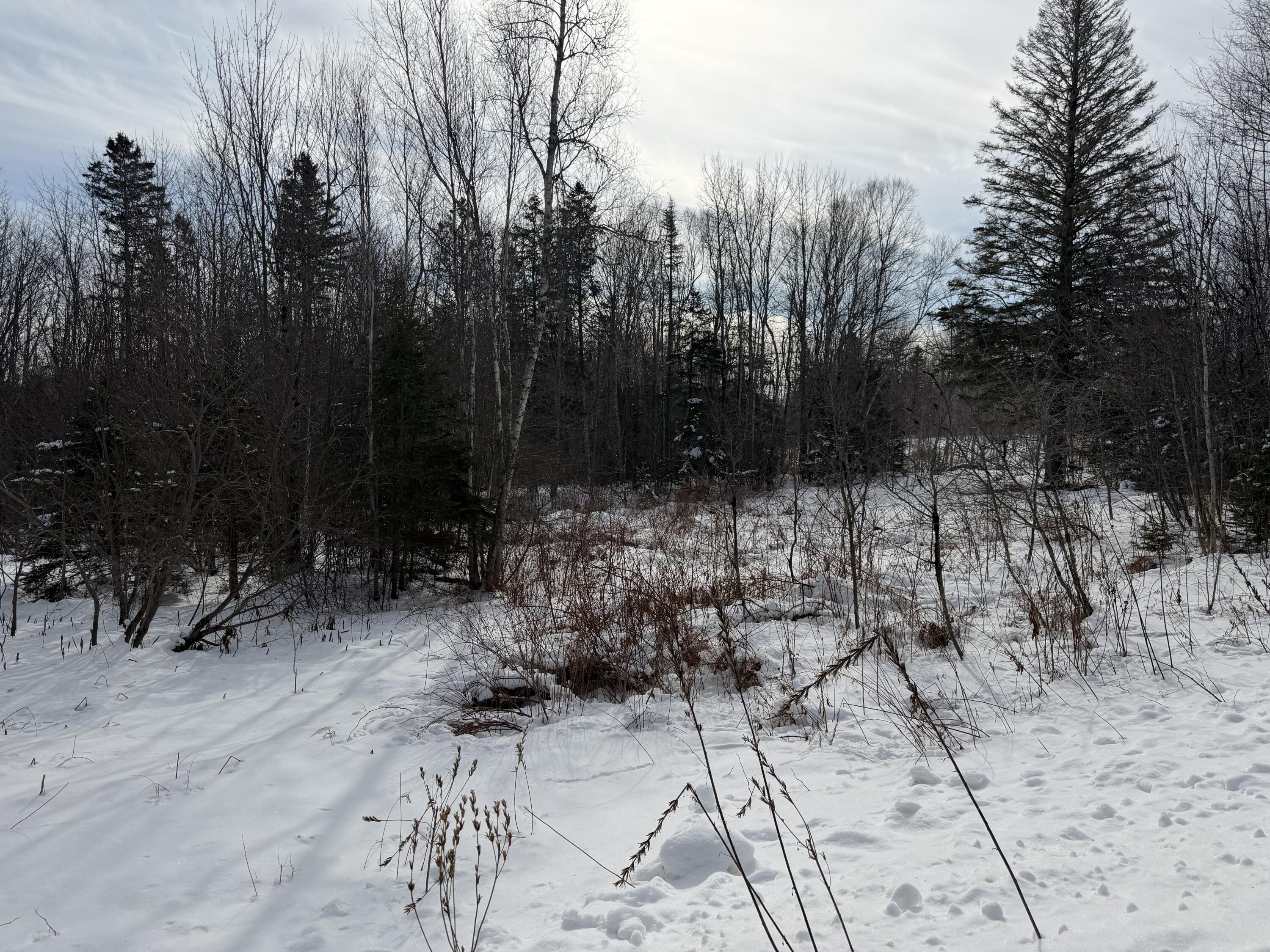 M6 L60-65 Gravel Road