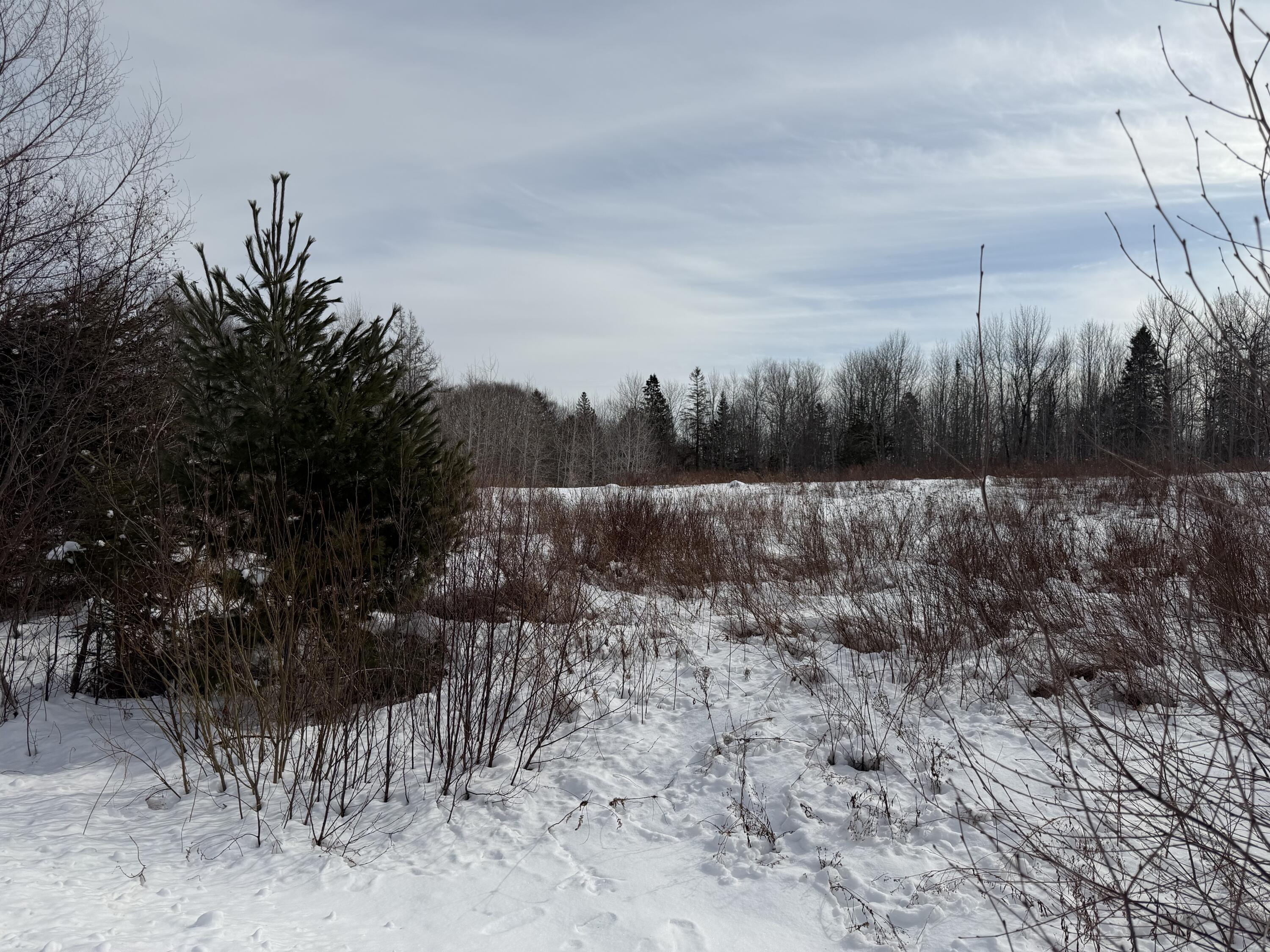 M6 L60-65 Gravel Road