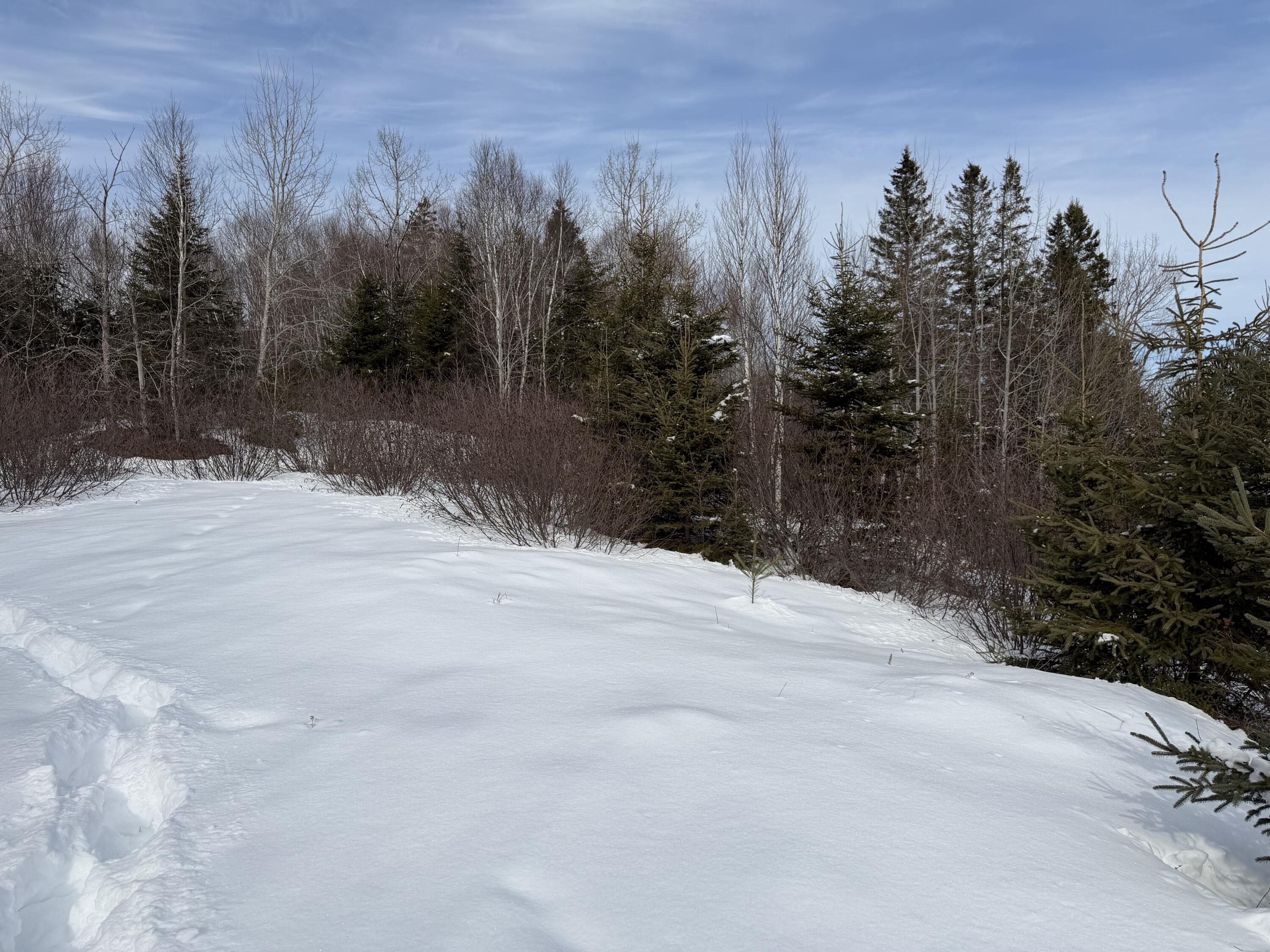 M6 L60-65 Gravel Road