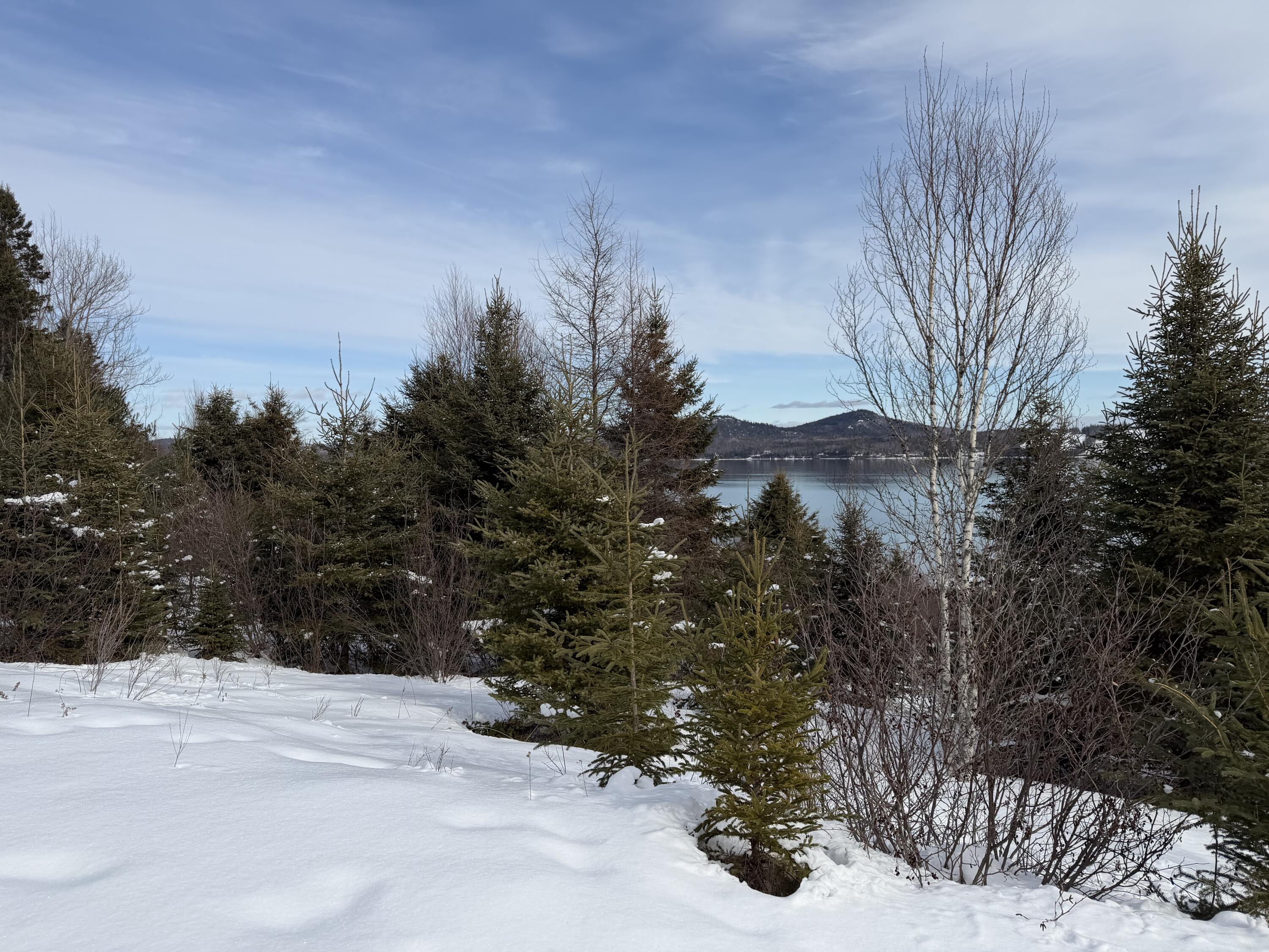 M6 L60-65 Gravel Road