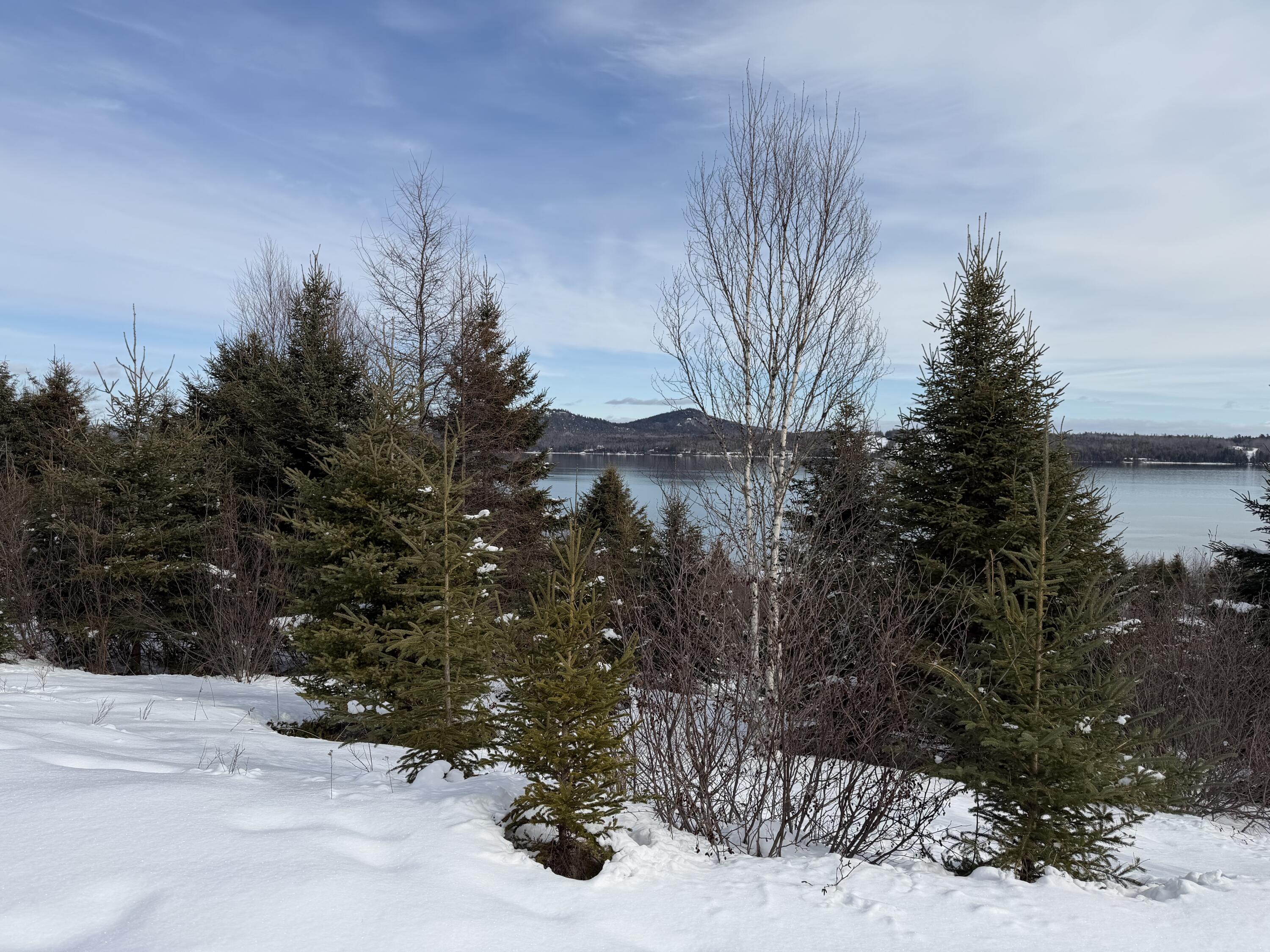 M6 L60-65 Gravel Road