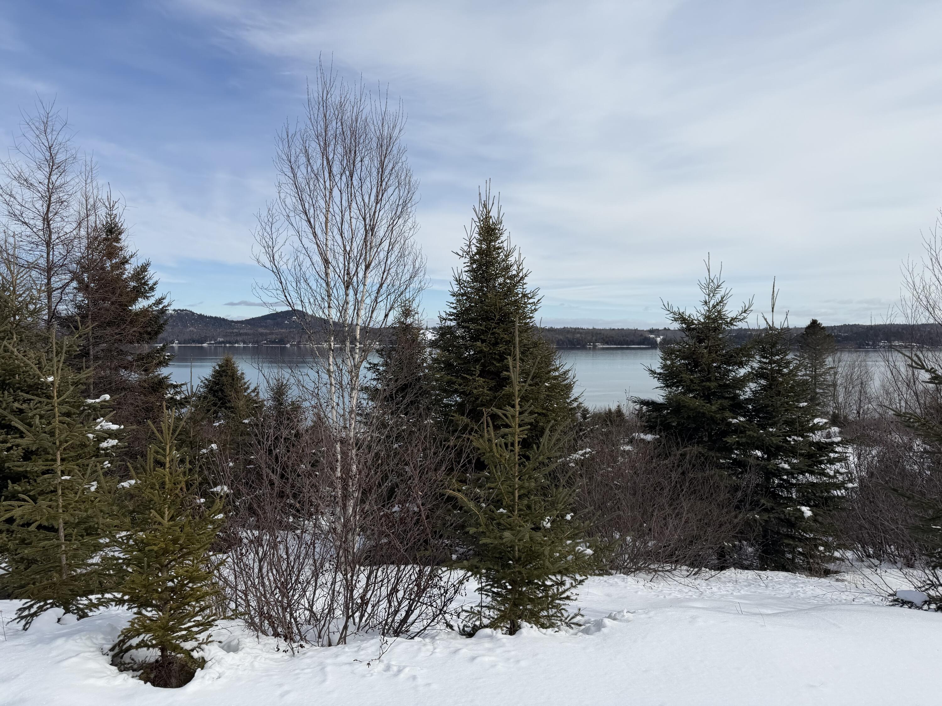 M6 L60-65 Gravel Road