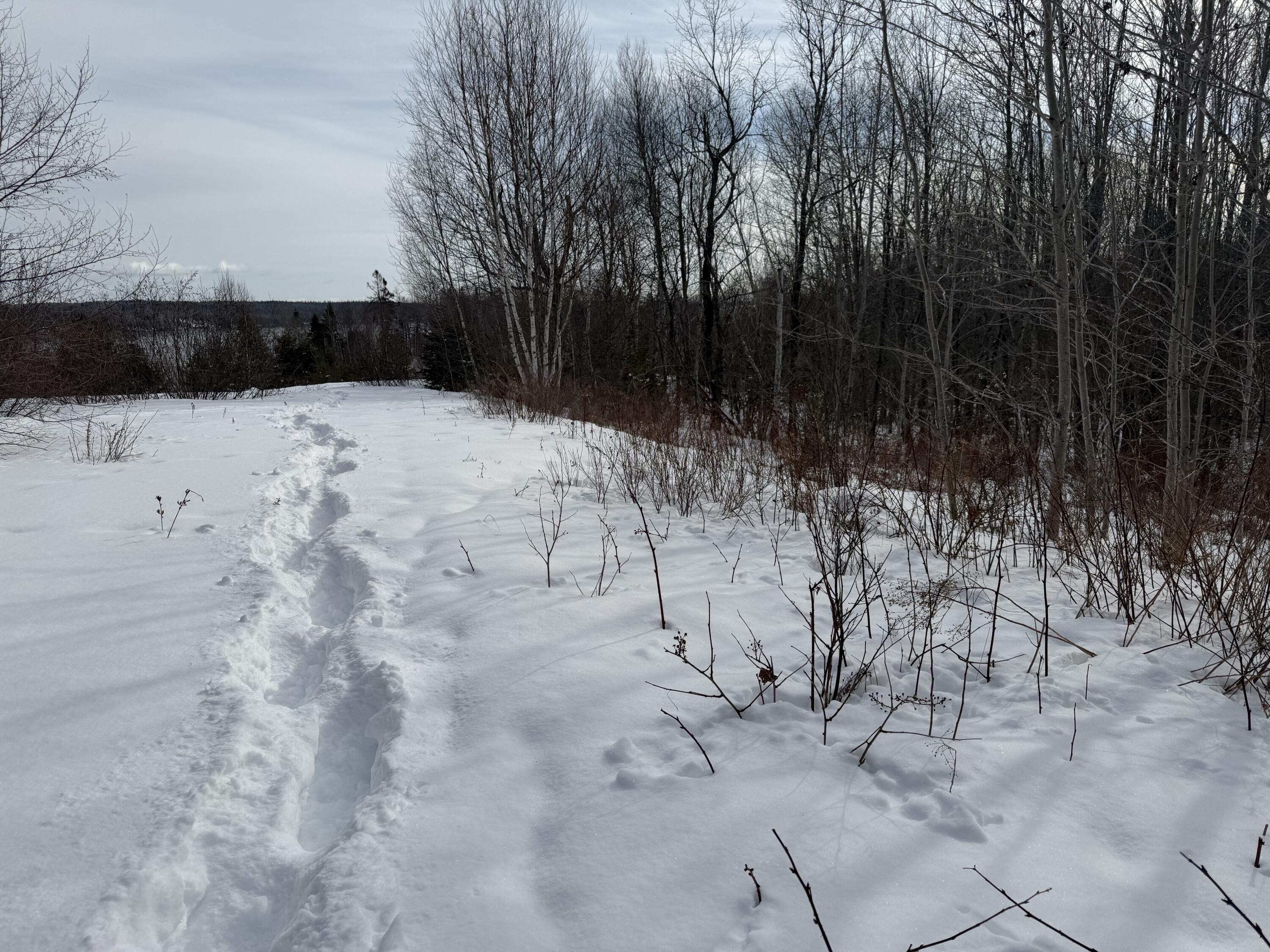 M6 L60-65 Gravel Road