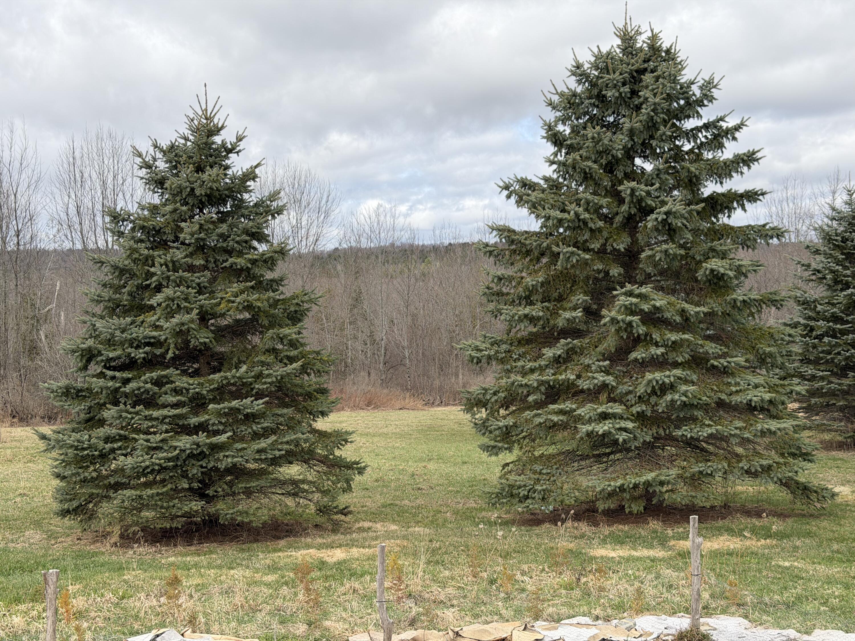 1072 Moosehead Highway