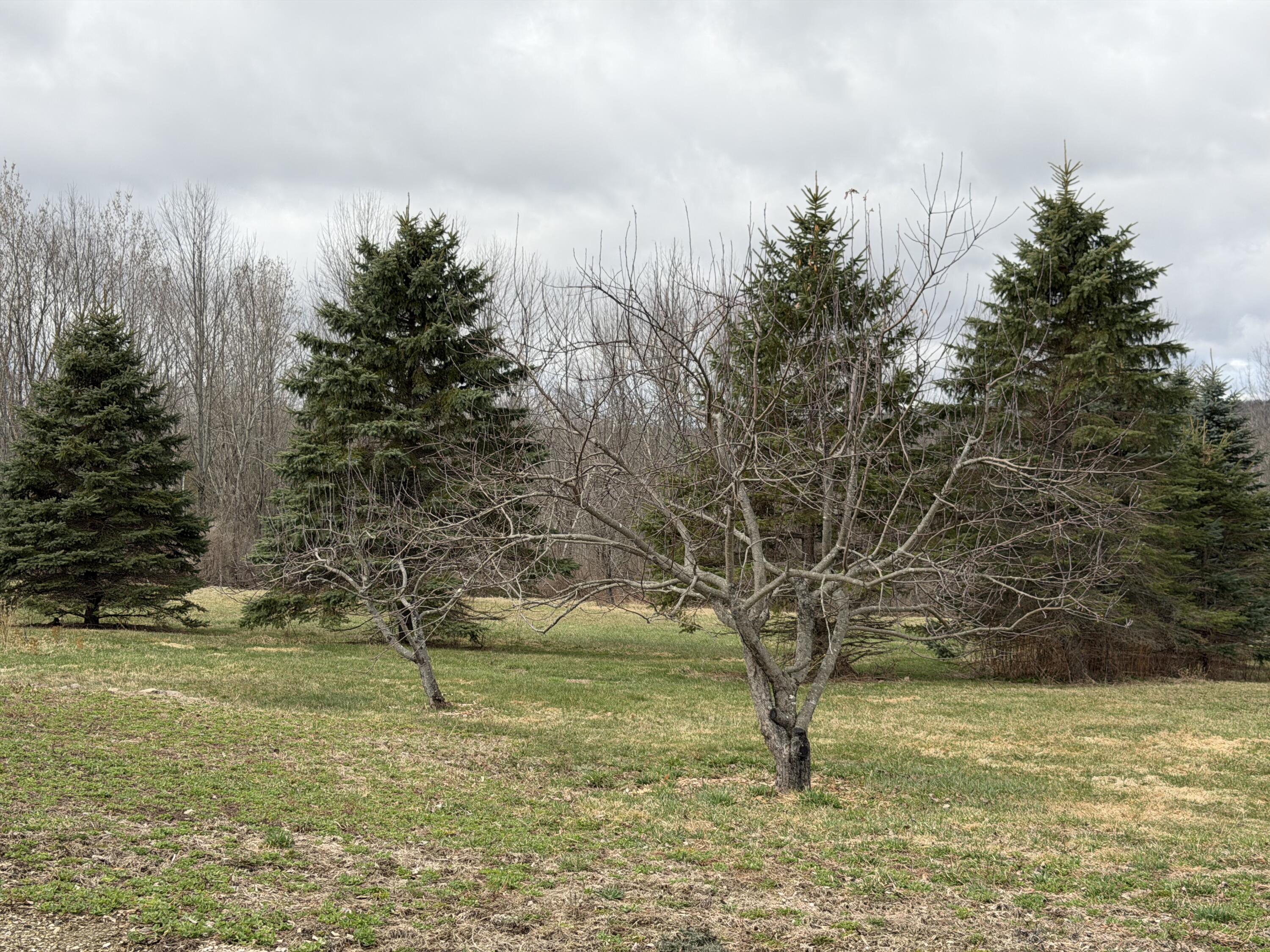 1072 Moosehead Highway