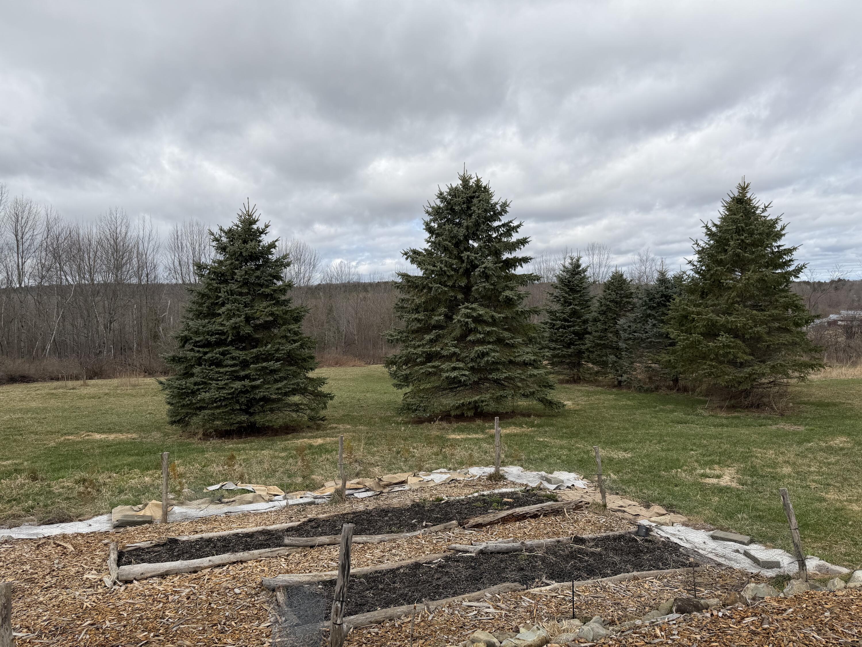 1072 Moosehead Highway