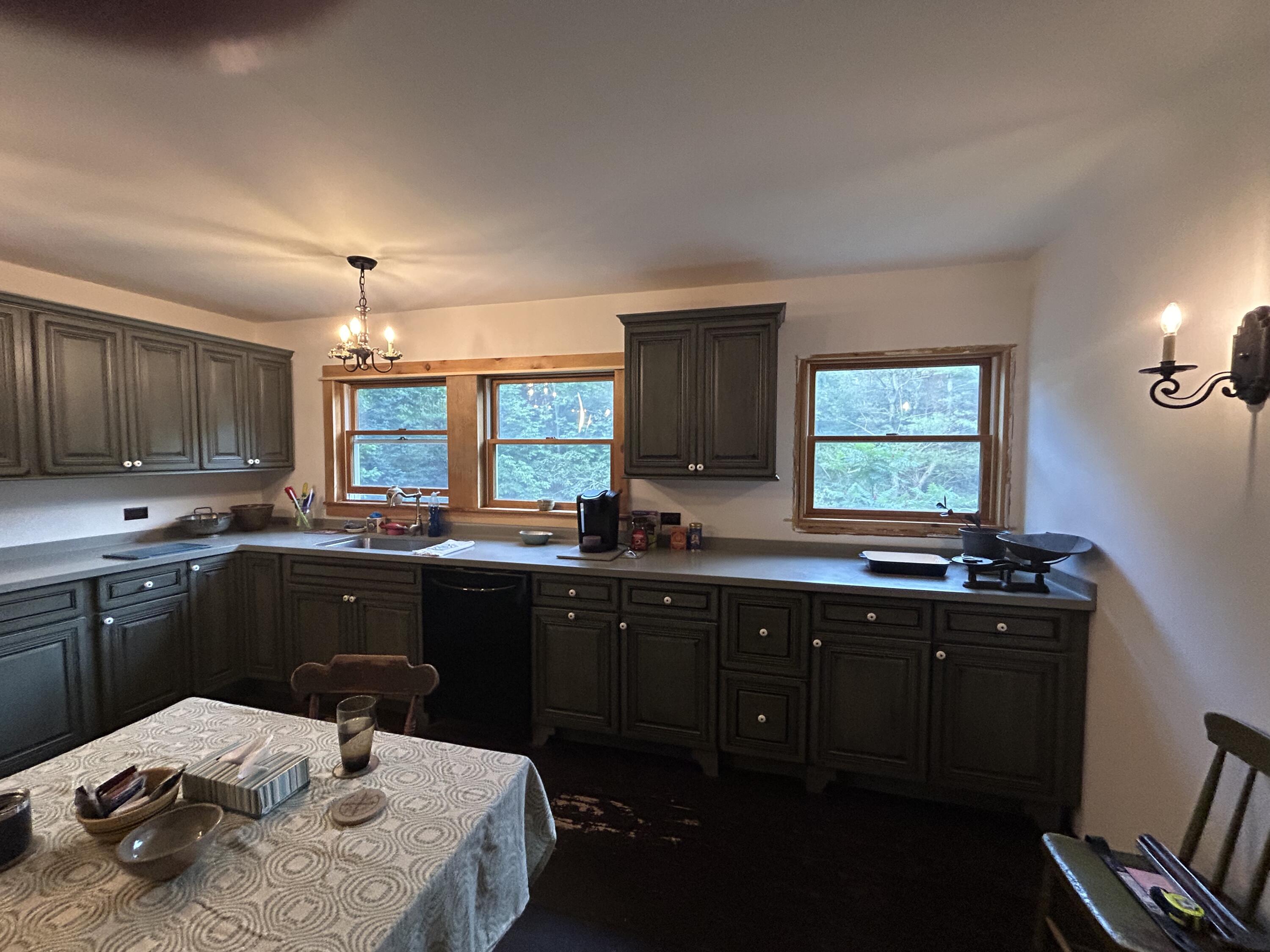 53 Missing Lynx Lane