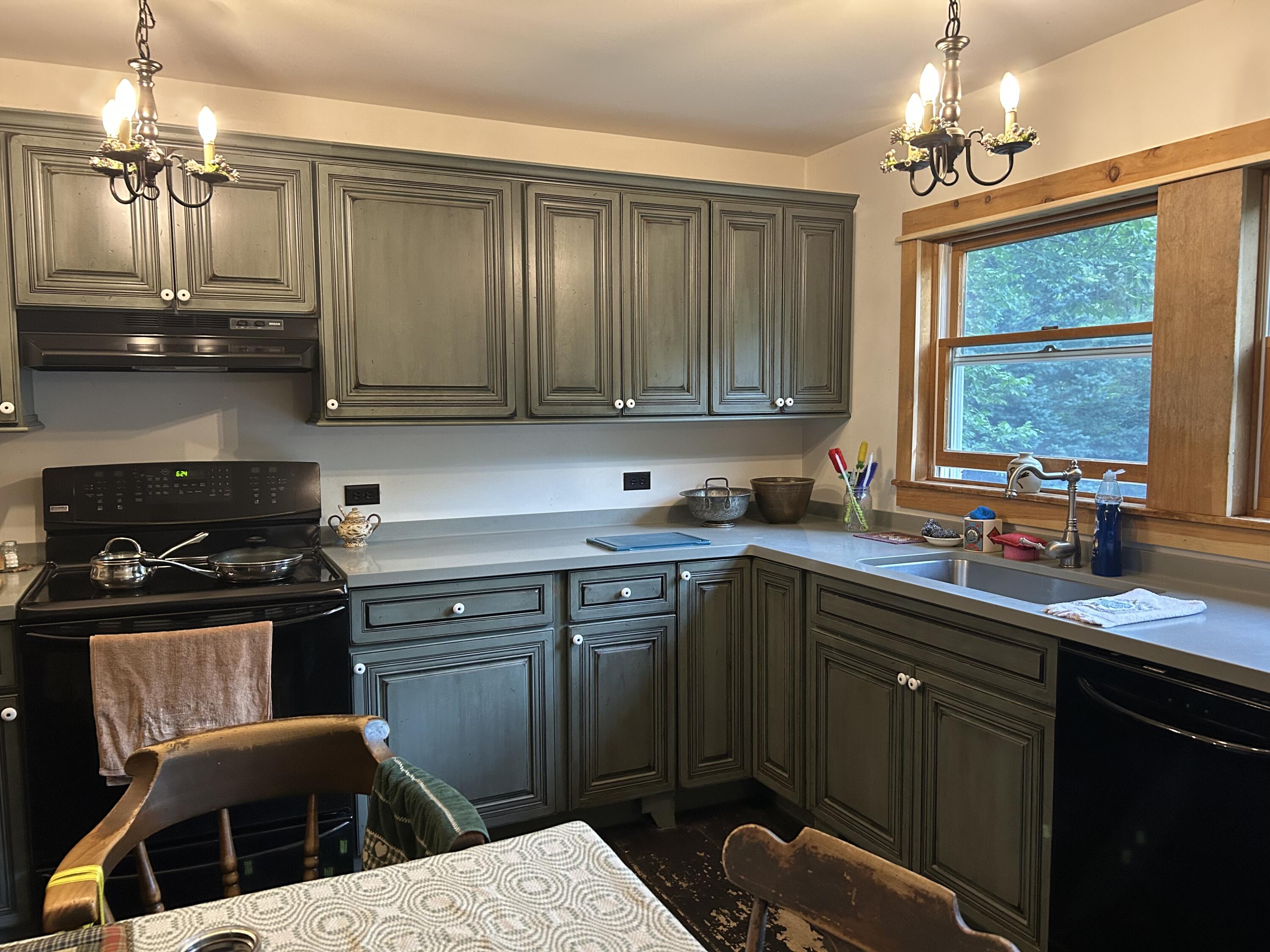 53 Missing Lynx Lane