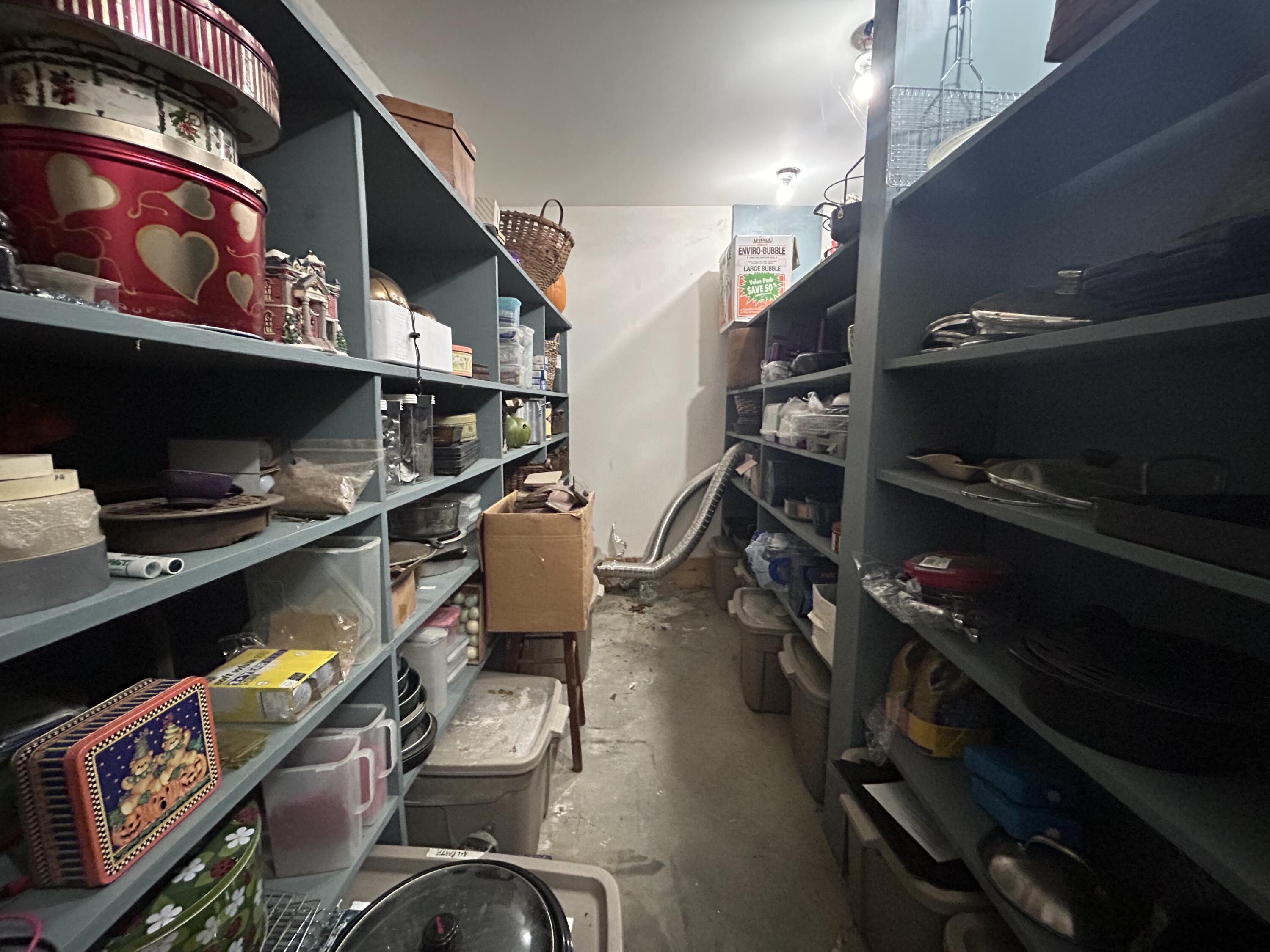 53 Missing Lynx Lane