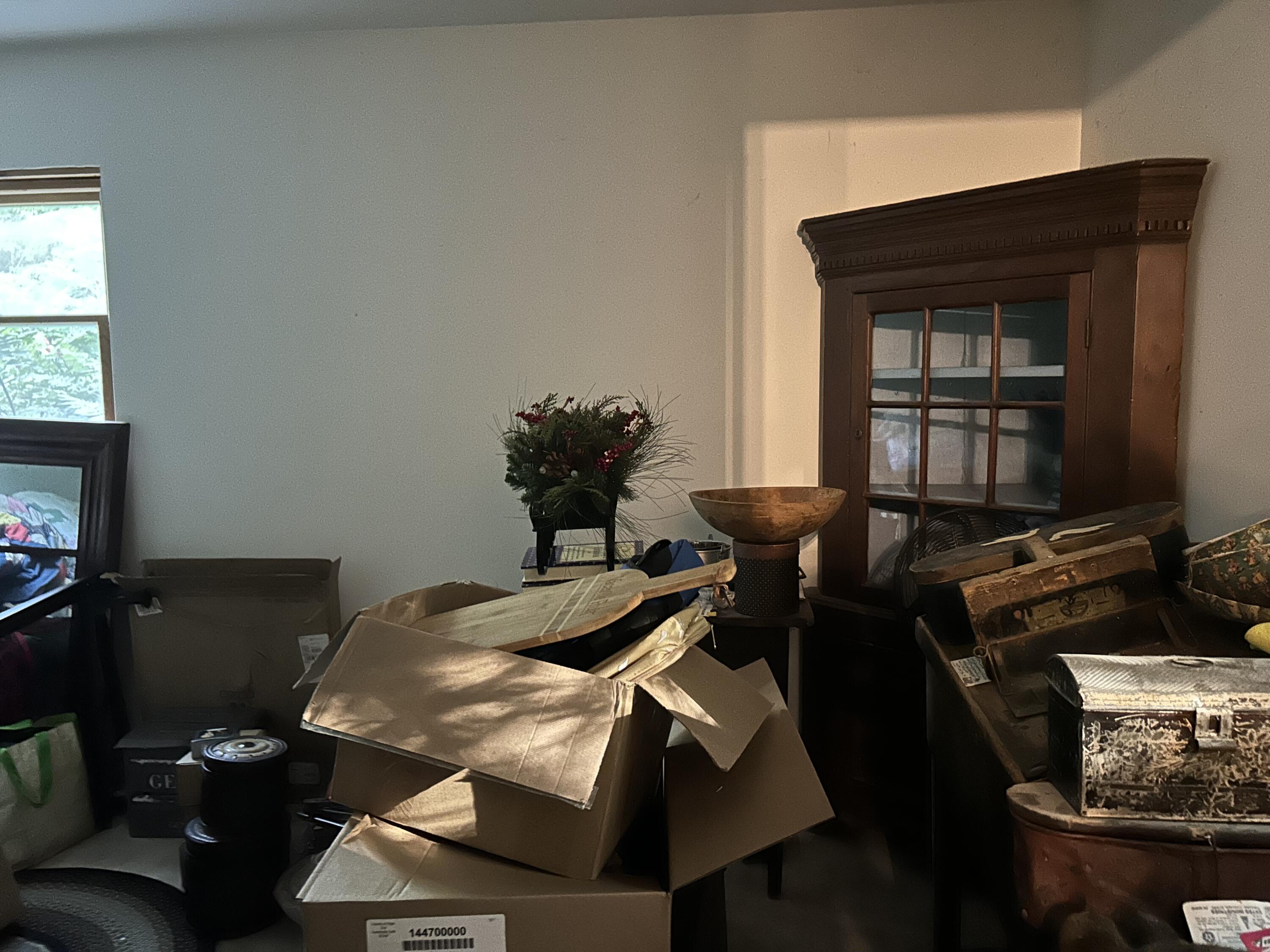 53 Missing Lynx Lane