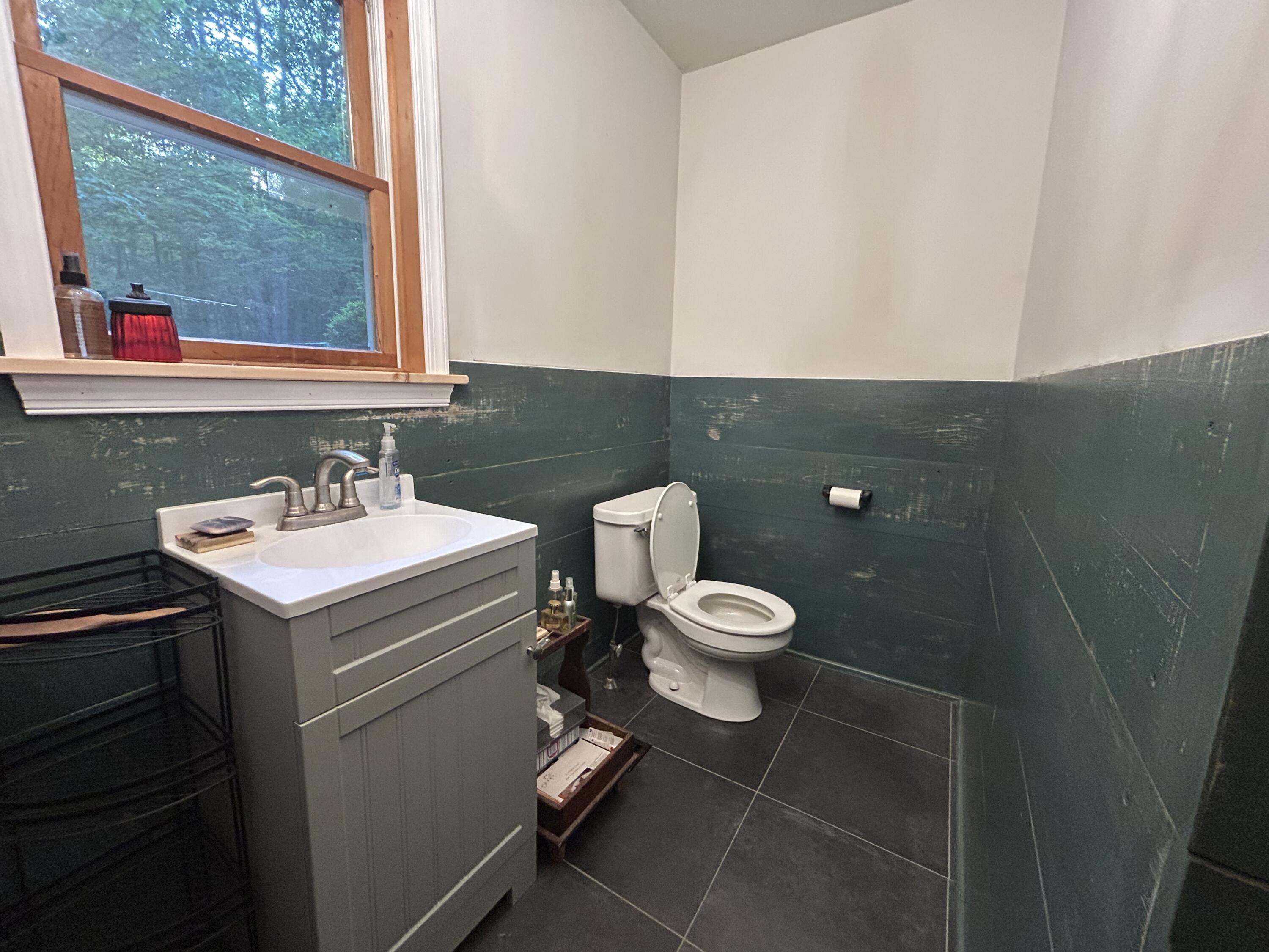 53 Missing Lynx Lane