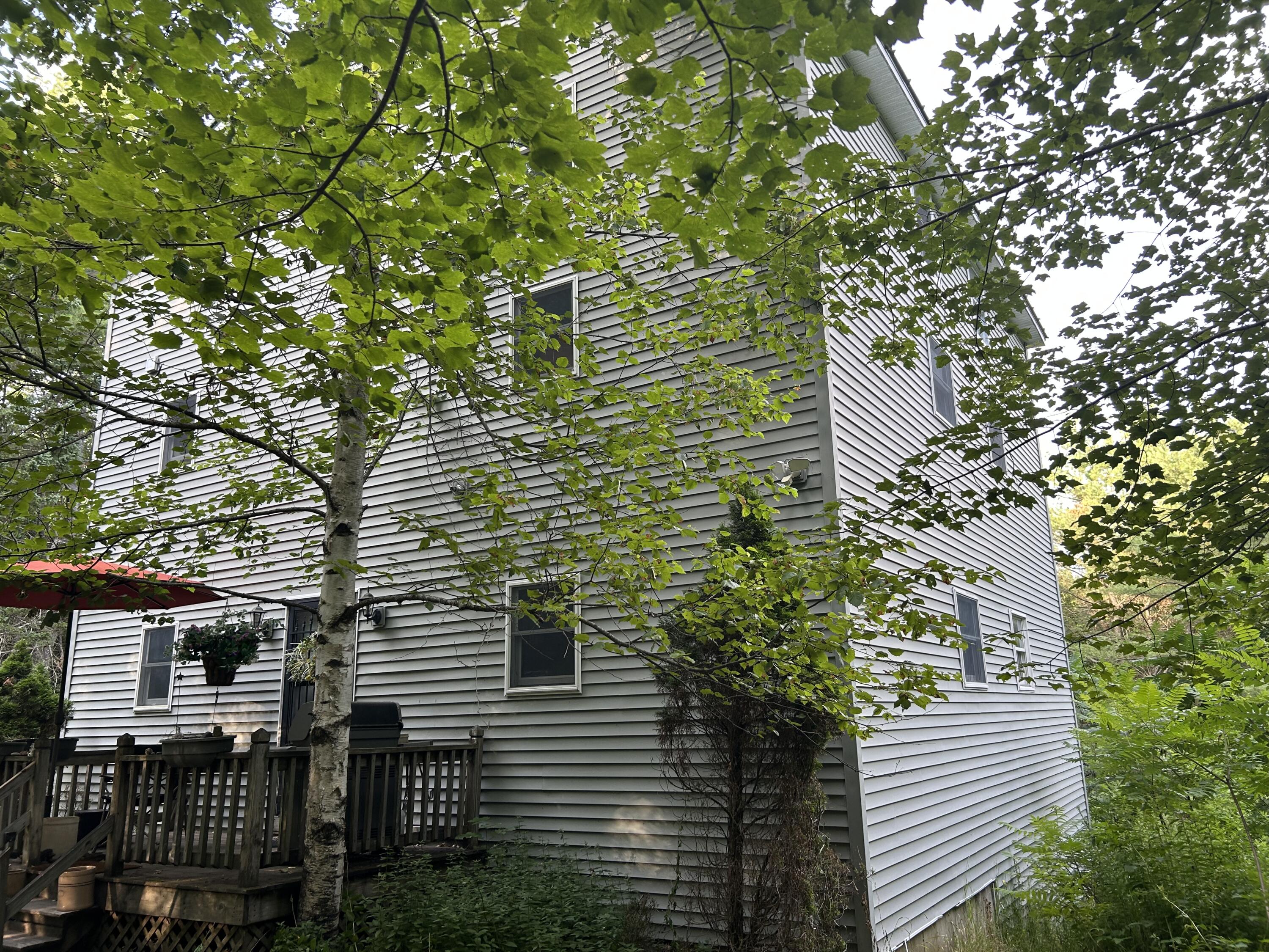 53 Missing Lynx Lane