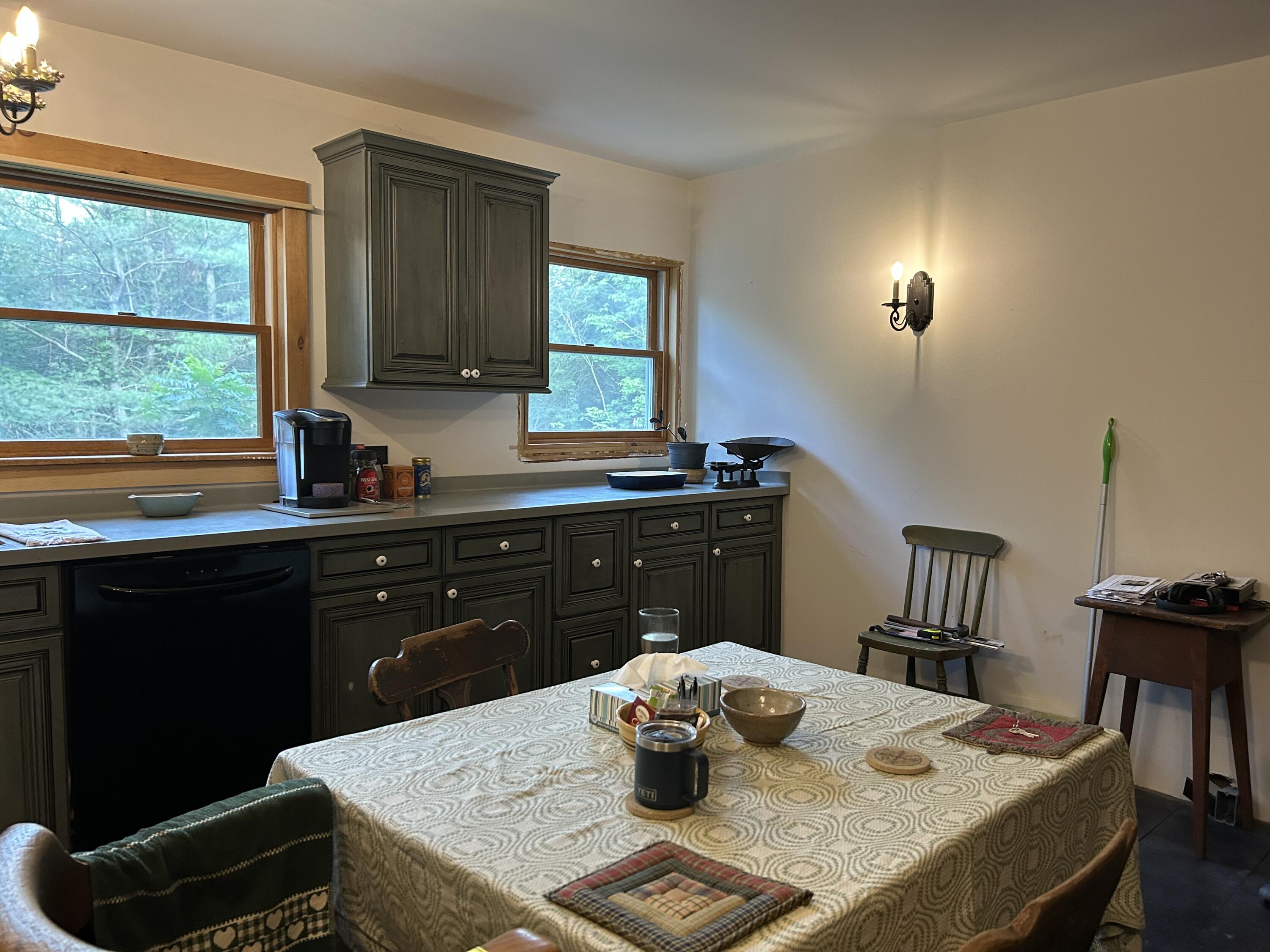 53 Missing Lynx Lane