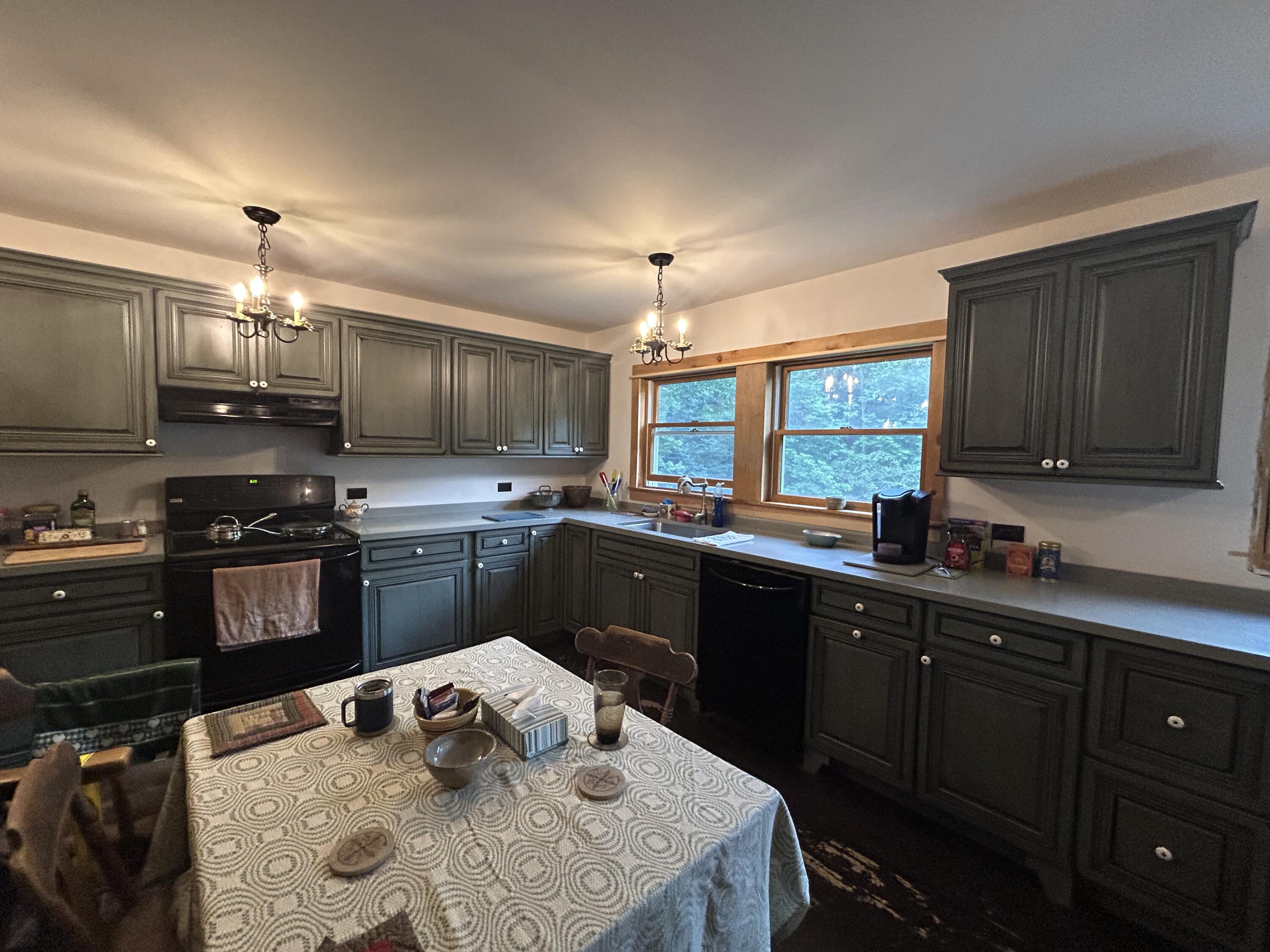 53 Missing Lynx Lane