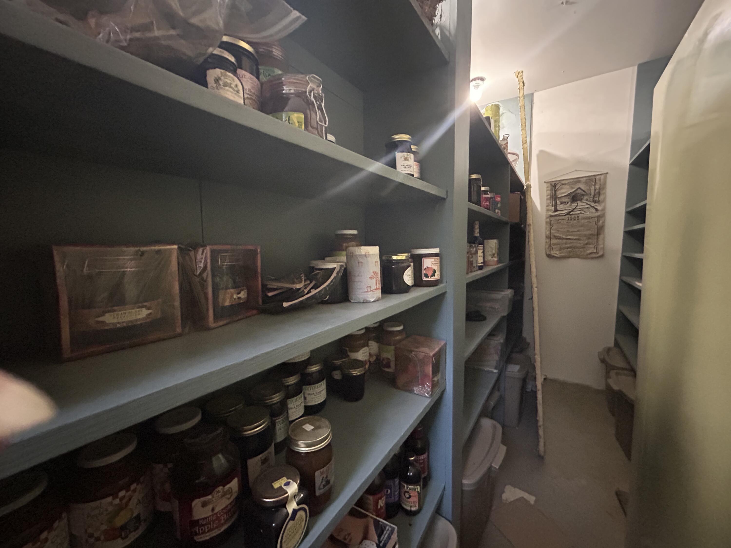 53 Missing Lynx Lane