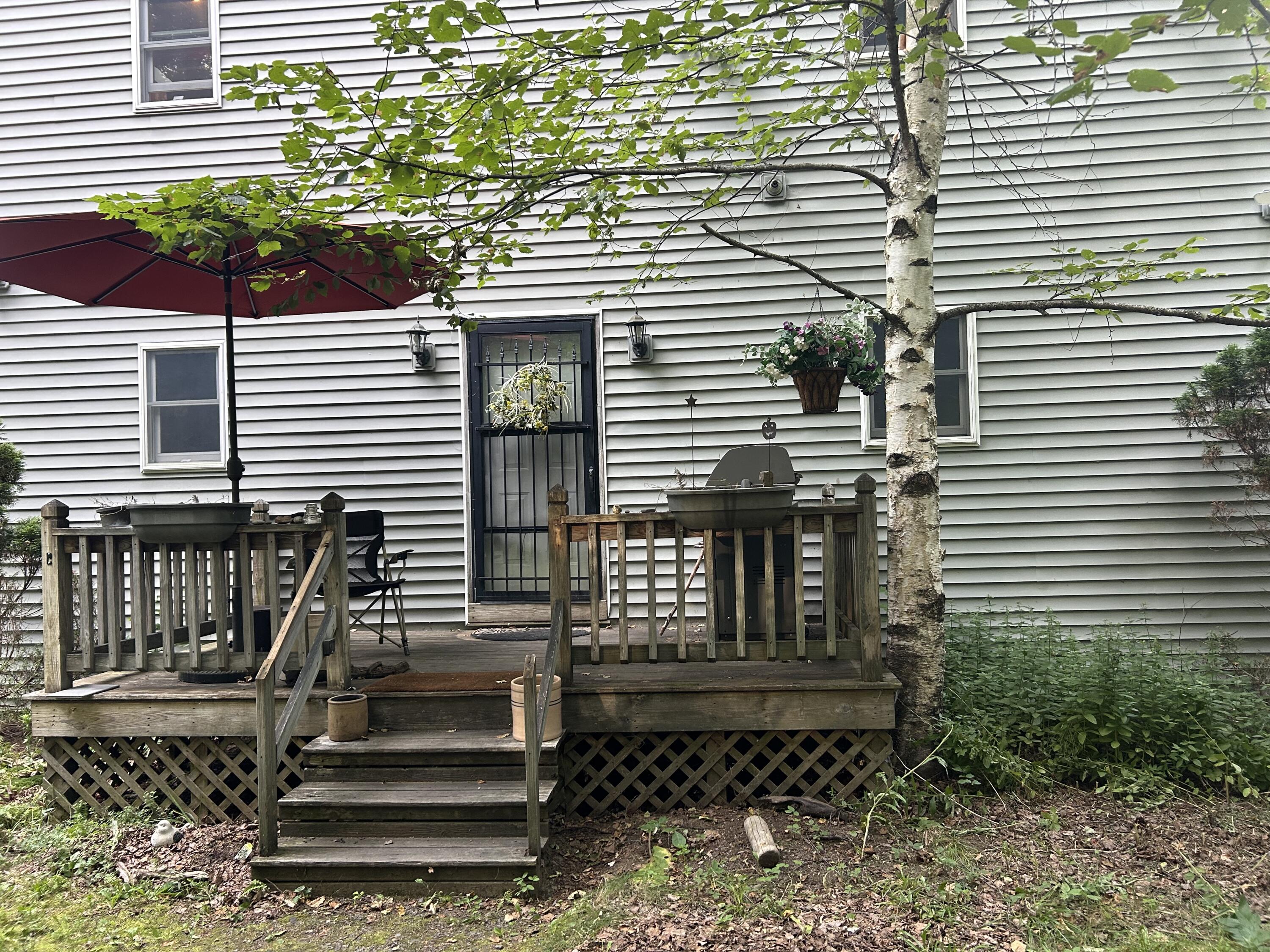 53 Missing Lynx Lane