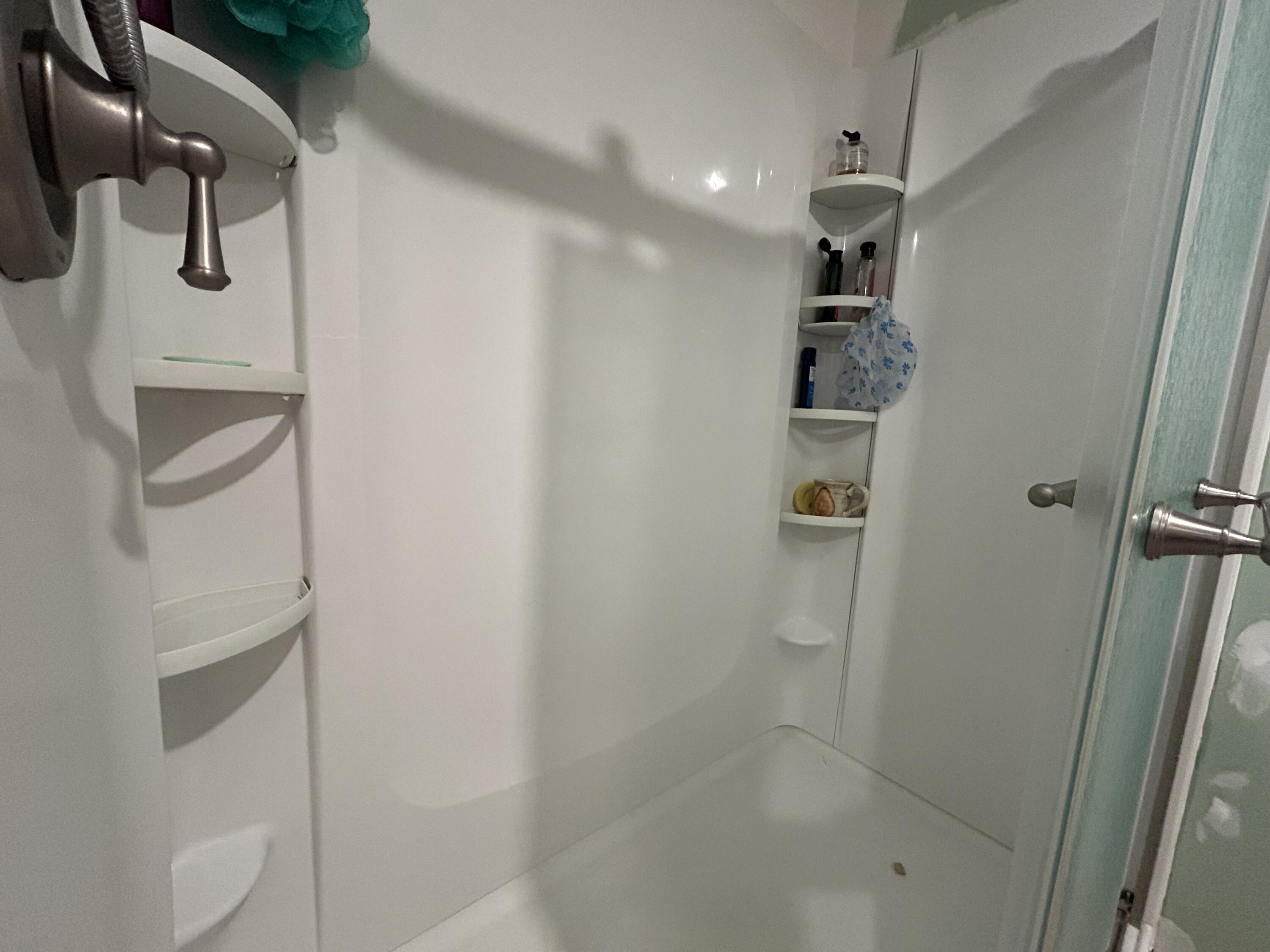 53 Missing Lynx Lane