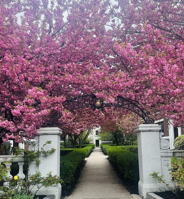 423 Washington Street # 5