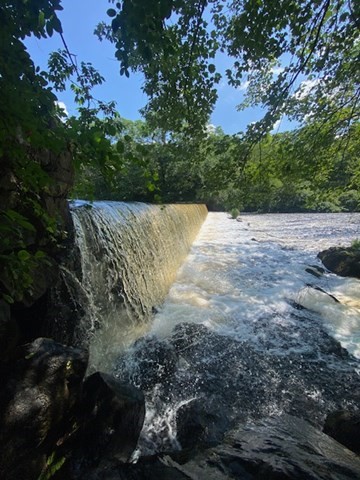 1345 South St # 1345