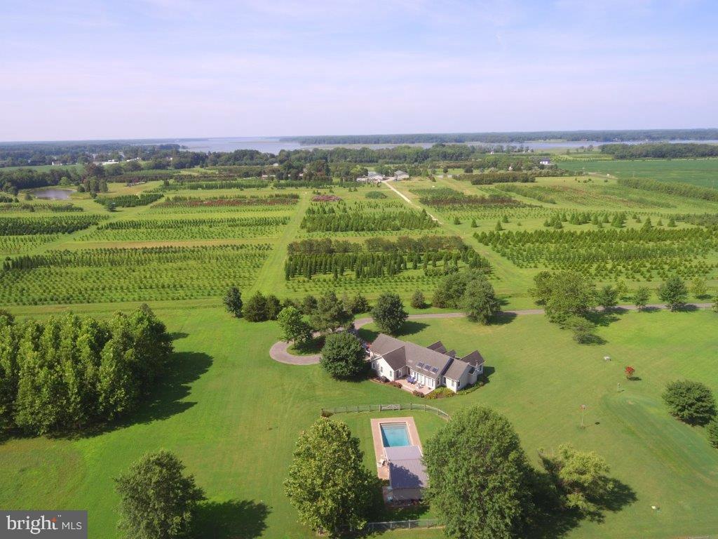 3069 CHOPTANK ROAD