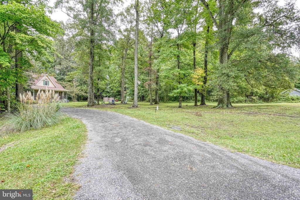 House nestled among mature trees, with a curved driveway leading across the lawn.