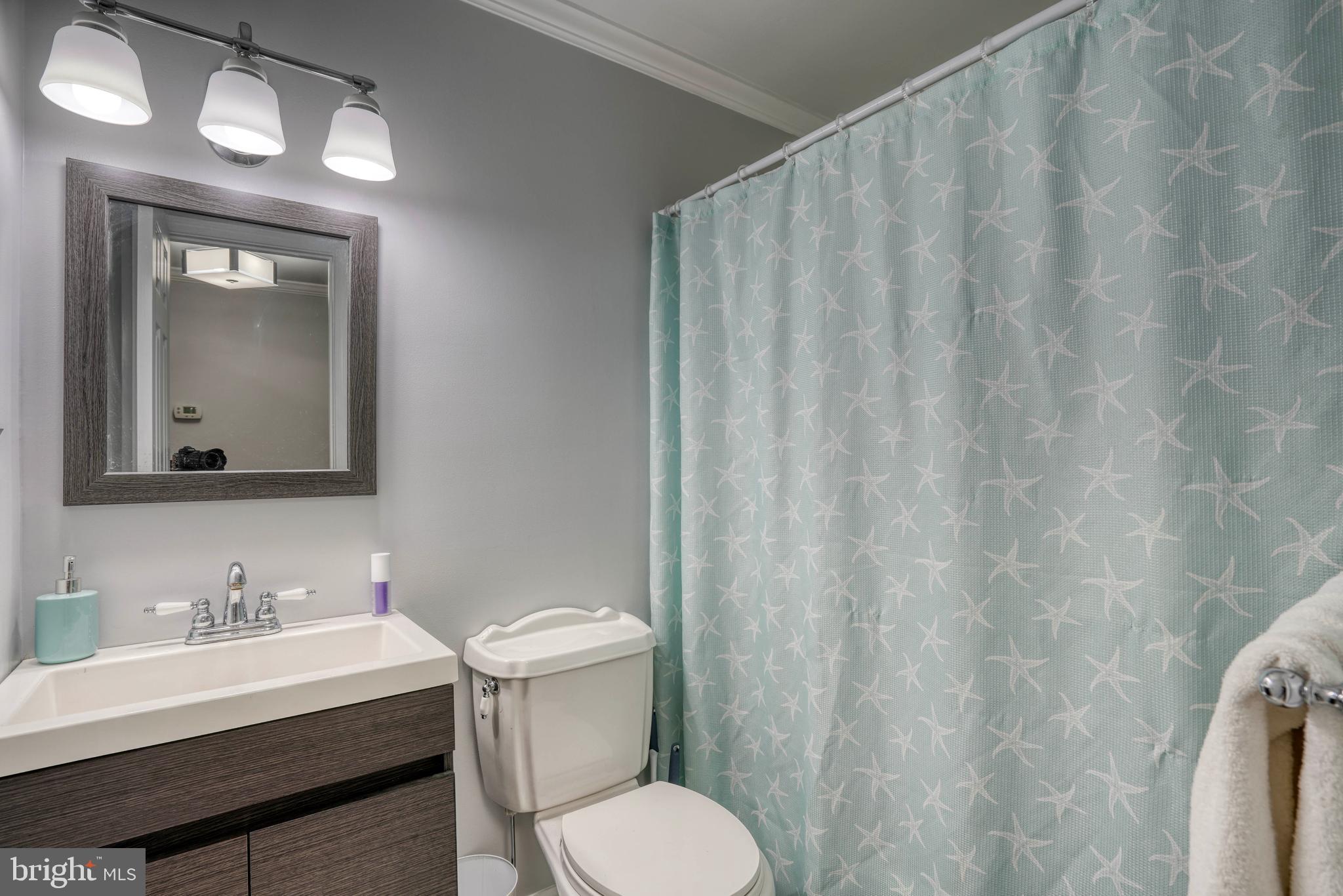 29419 ROSEBUD COURT
