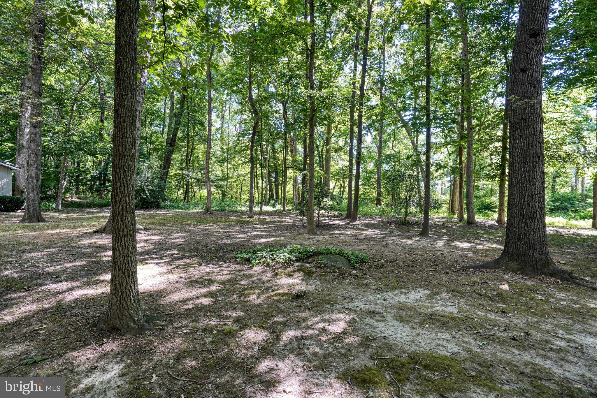 11745 KITTYS CORNER ROAD