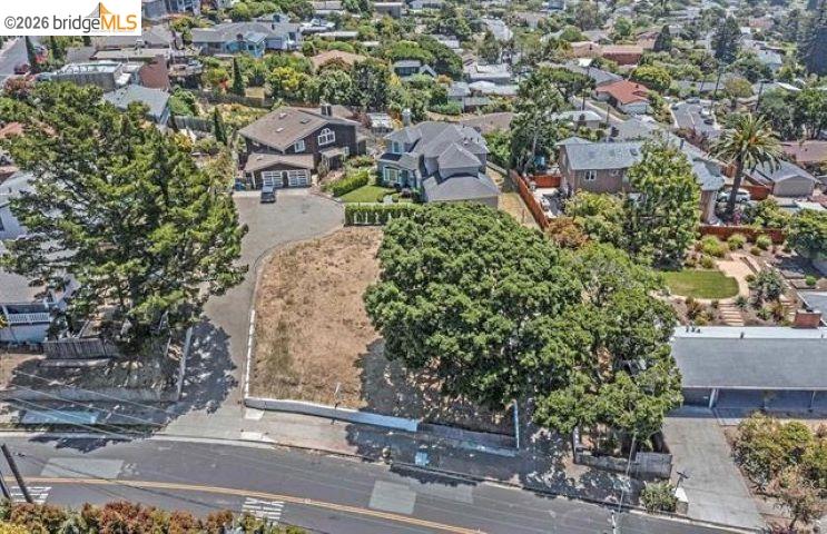 Aerial view of a residential parcel with a dry open area and a large mature tree.