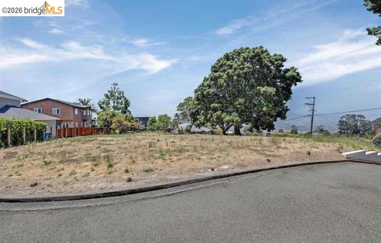 Vacant sloped lot with dry grass and a large mature tree beside a residential street.