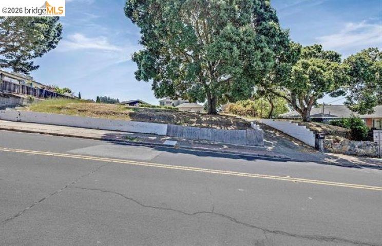 Sloped, tree-lined vacant lot behind a low retaining wall along the street.