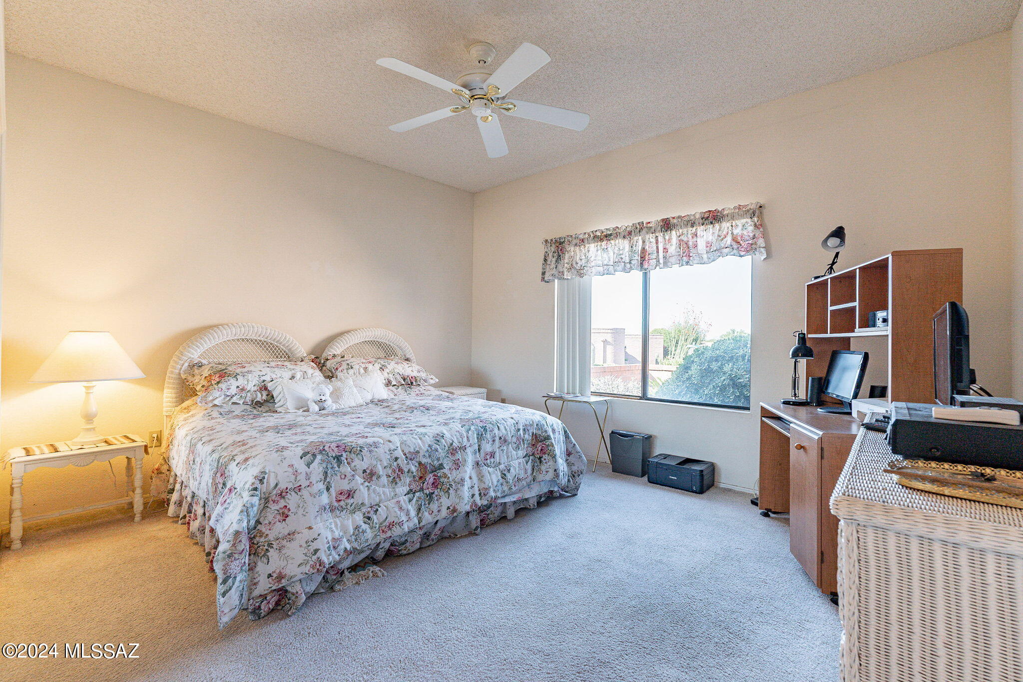 1050 W Camino Del Pato