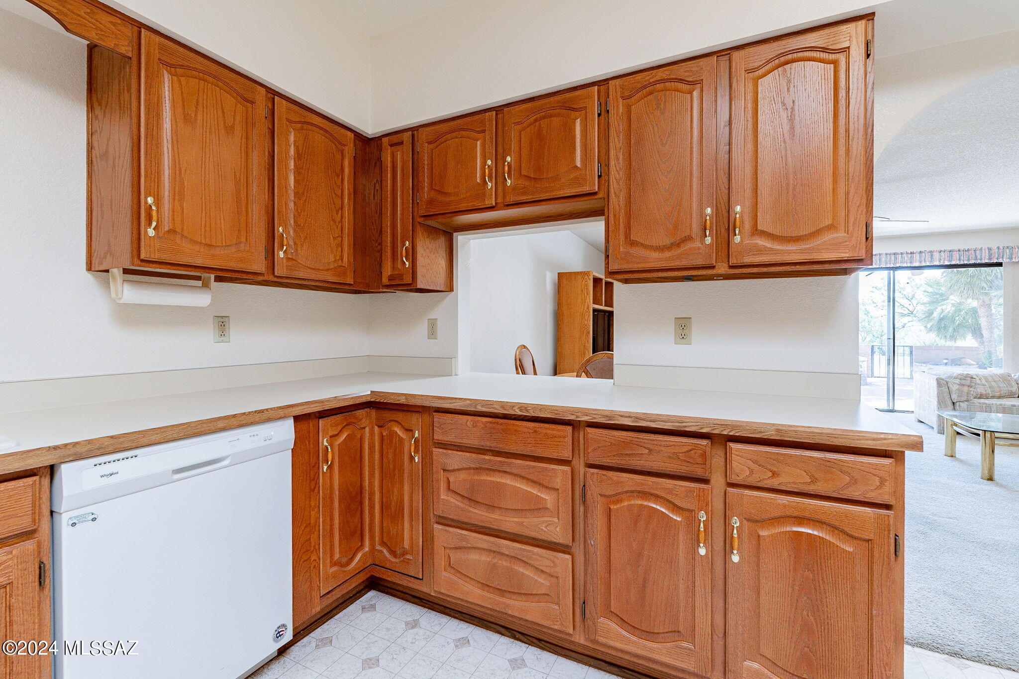 1050 W Camino Del Pato