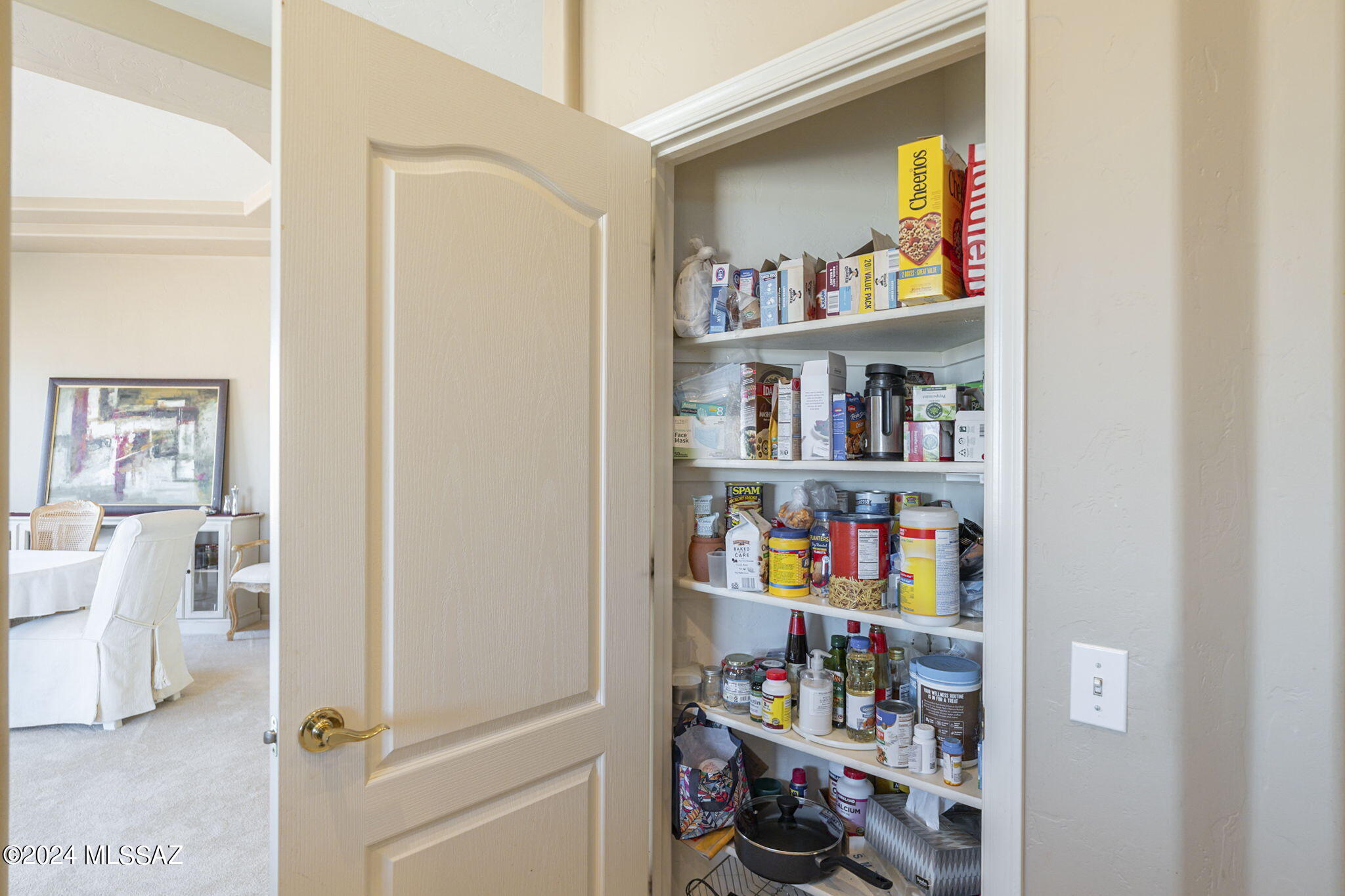 274 W Continental Vista Place