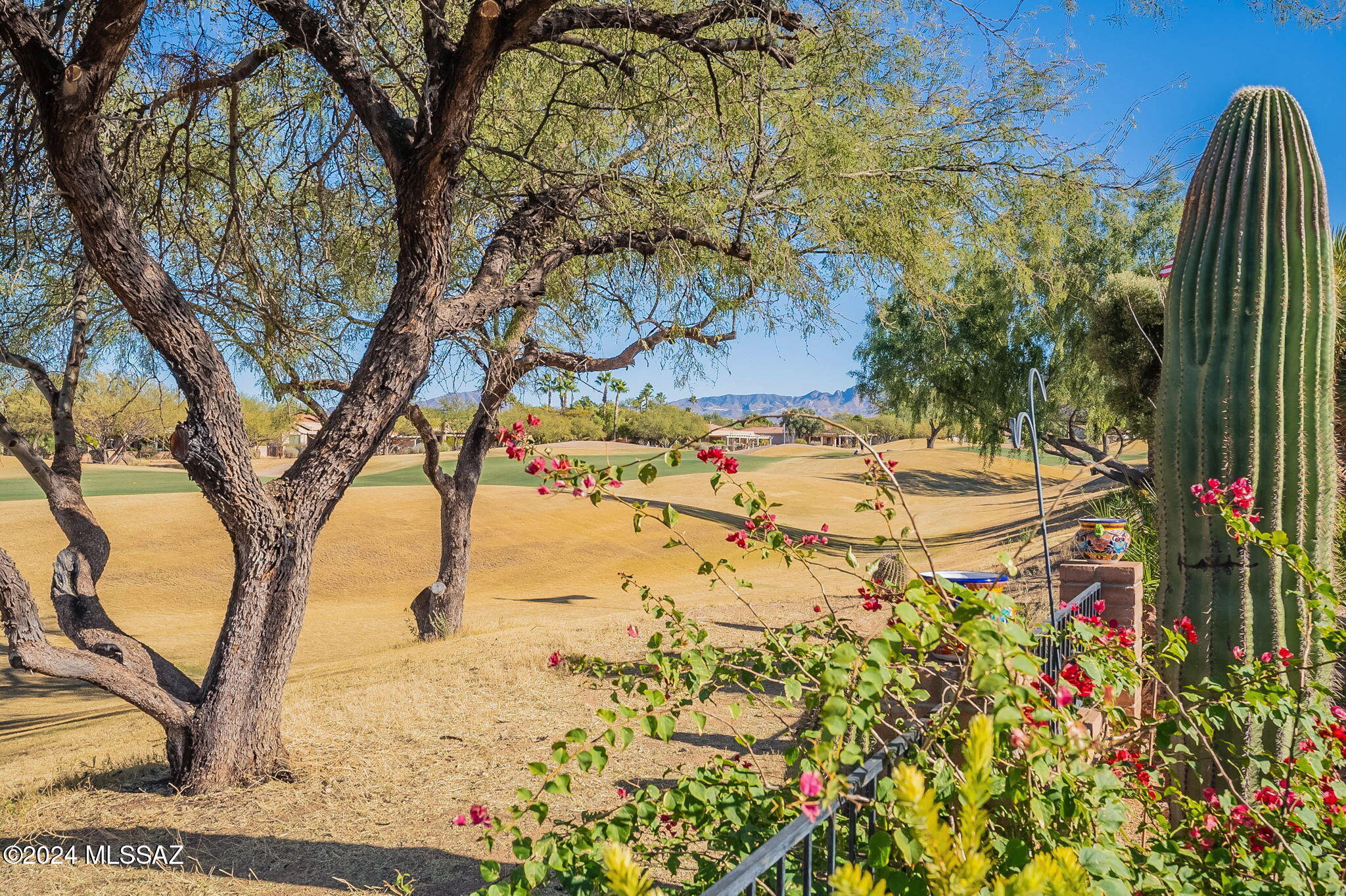 1911 E Canyon Wren Way