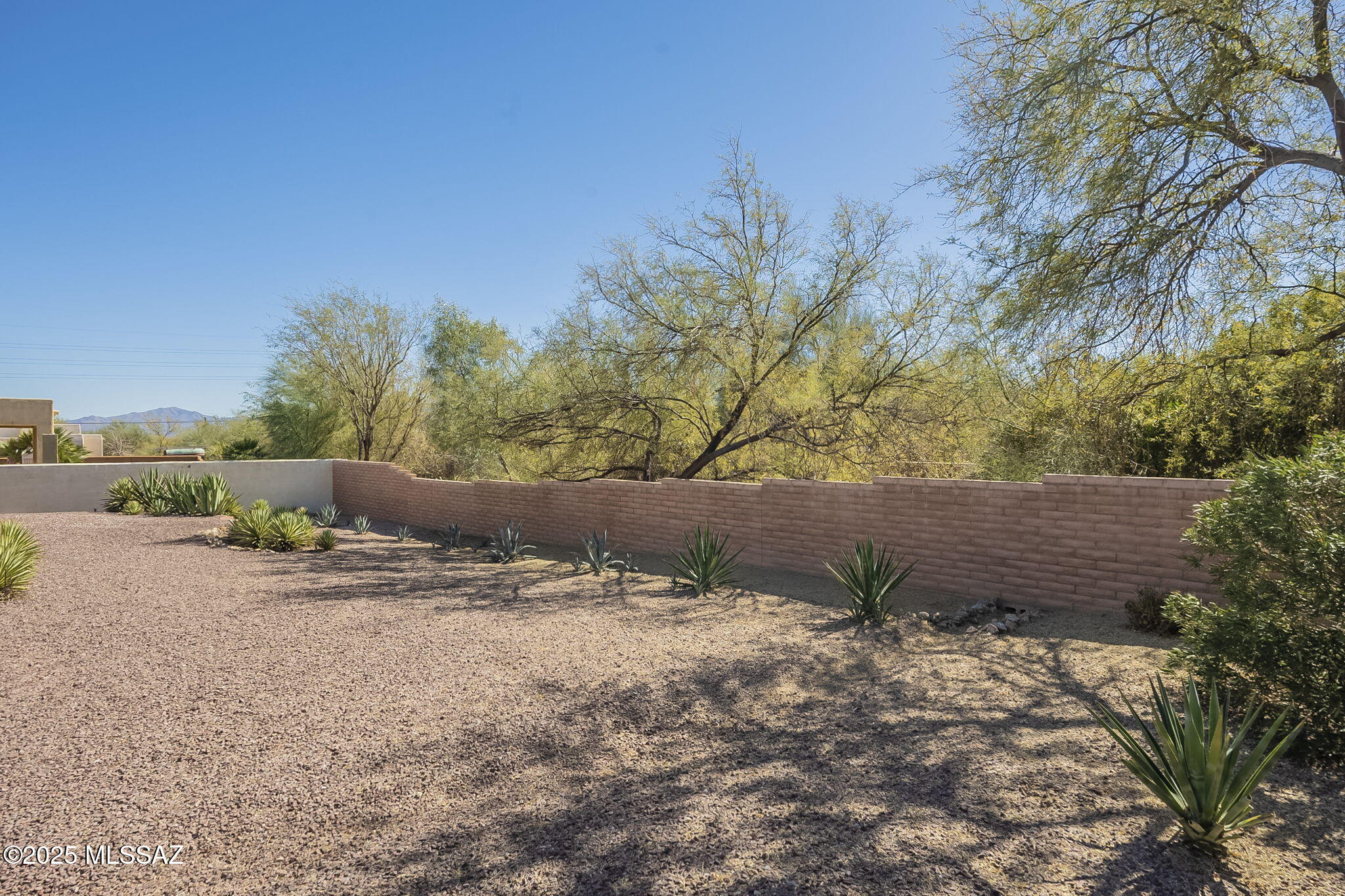 1449 W Calle Del Mito