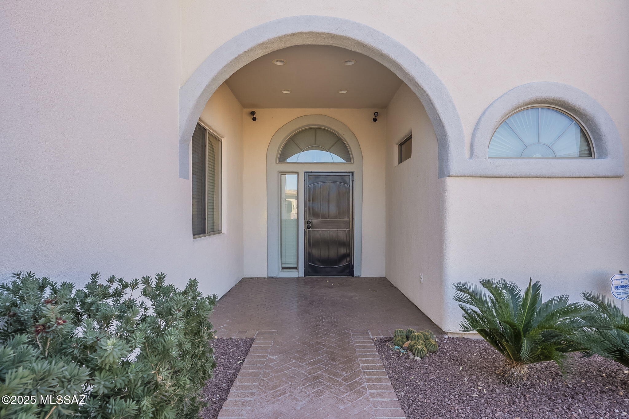 1449 W Calle Del Mito