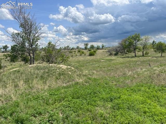 8725 N Ellicott Highway