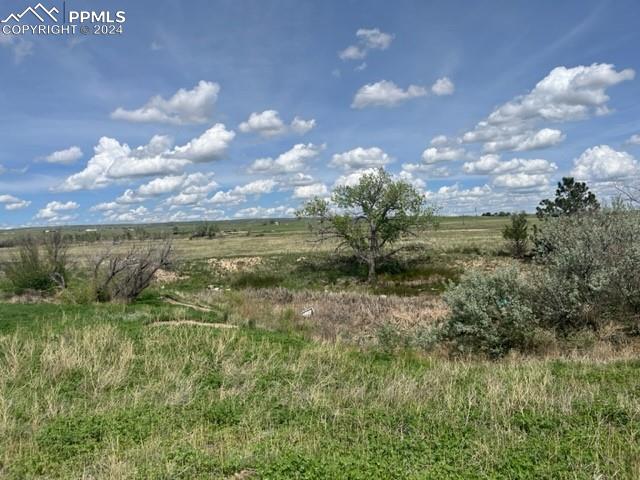 8725 N Ellicott Highway