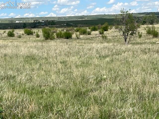 8725 N Ellicott Highway