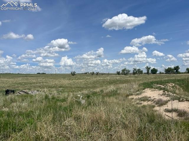 8725 N Ellicott Highway