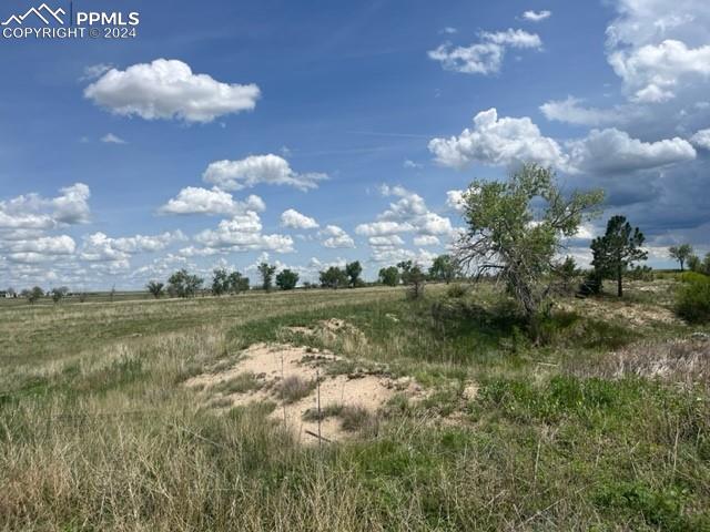 8725 N Ellicott Highway