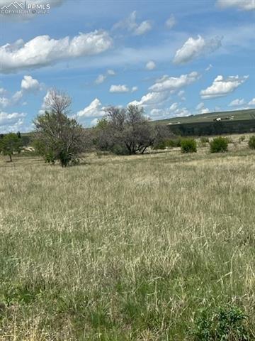 8725 N Ellicott Highway