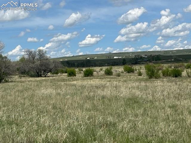 8725 N Ellicott Highway