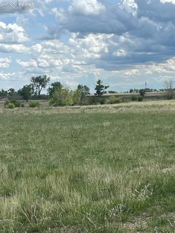 8725 N Ellicott Highway