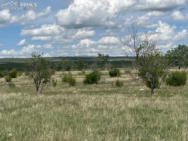 8725 N Ellicott Highway