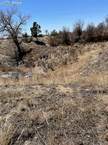 8725 N Ellicott Highway