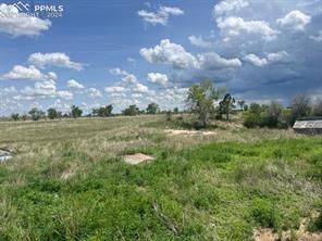 8725 N Ellicott Highway
